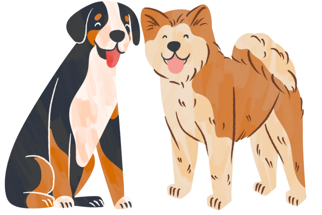 Illustration of two happy dogs: one is black, white, and brown with floppy ears sitting down, and the other is tan and cream with a fluffy tail standing up, both with their tongues out.