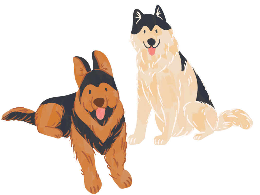 Illustration of two dogs, one with a black and tan coat sitting and smiling, and the other with a fluffy black and white coat sitting upright with its tongue out, both appearing happy.