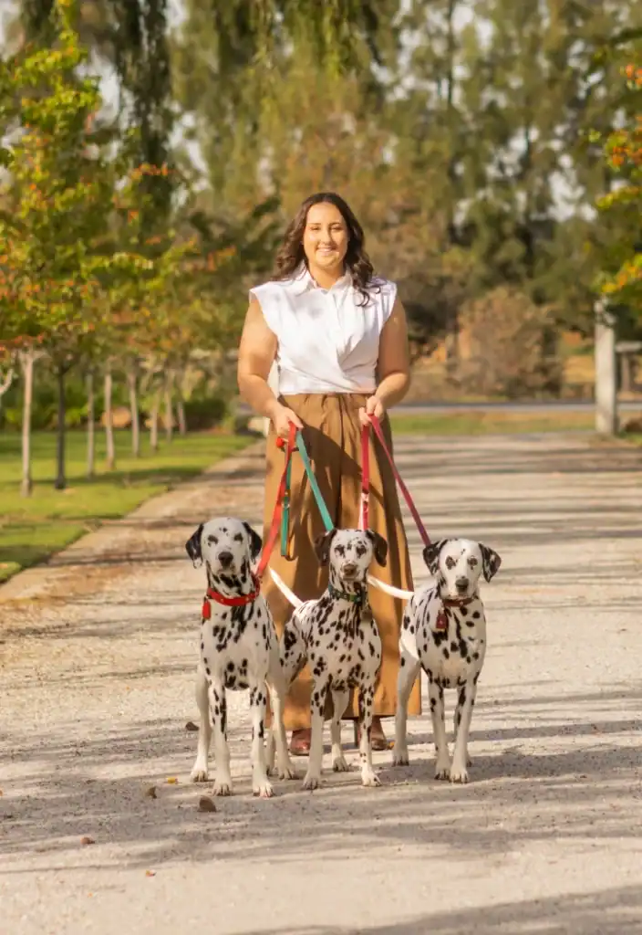 A woman walks three Dalmatian dogs on leashes along a tree-lined path in a park on a sunny day.