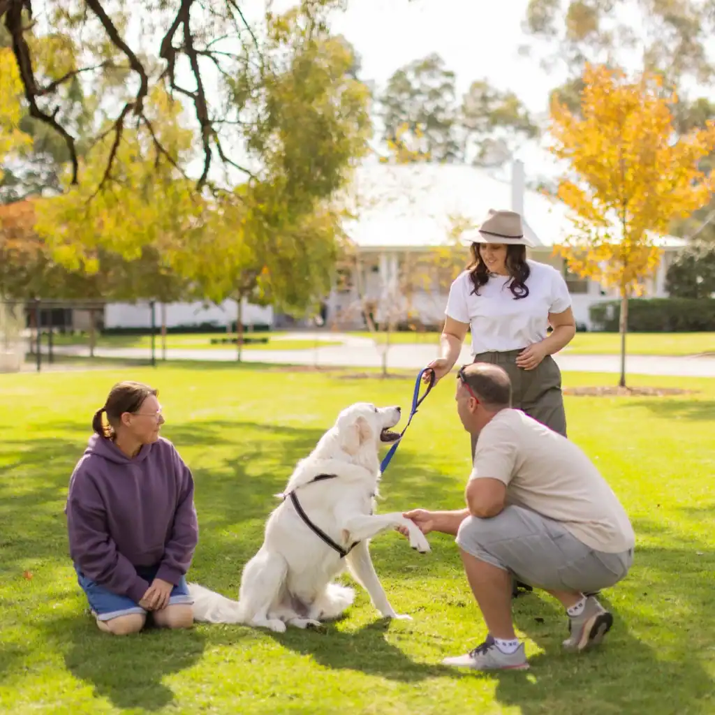 A white dog sits on the grass, offering its paw to a man kneeling in front of it. A woman kneels nearby, and another woman stands holding the dog’s leash. They are outdoors in a sunny park with trees and a house in the background.
