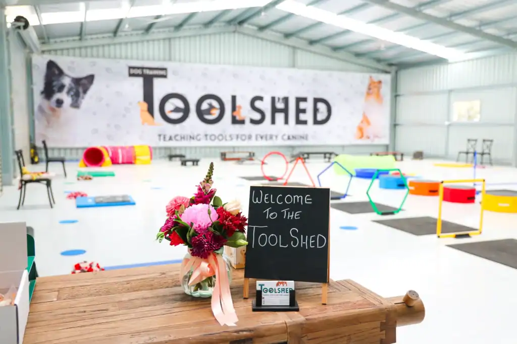 A brightly lit indoor dog training center features agility equipment and a large "Toolshed" sign on the wall. In the foreground, a chalkboard says "Welcome to the Toolshed" beside a vase of flowers.