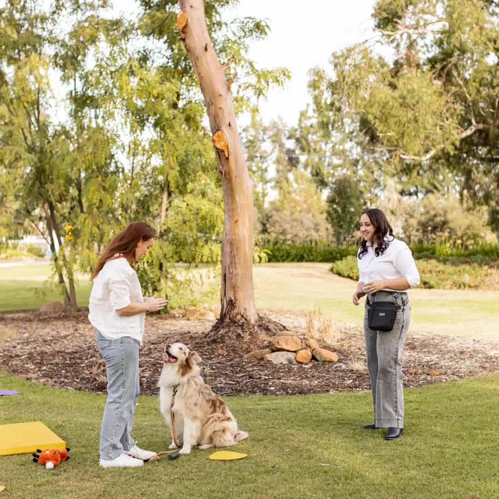 Two women stand on grass in a park, one holding a phone and leash while a dog sits near her, looking up. The other woman smiles, standing nearby. Trees and scattered exercise mats are in the background.