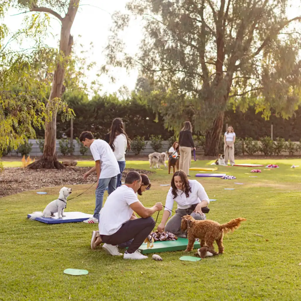 People and dogs gather in a sunny park. Adults interact with their leashed dogs on mats spread across the grass, while others stand or walk nearby among trees and greenery.