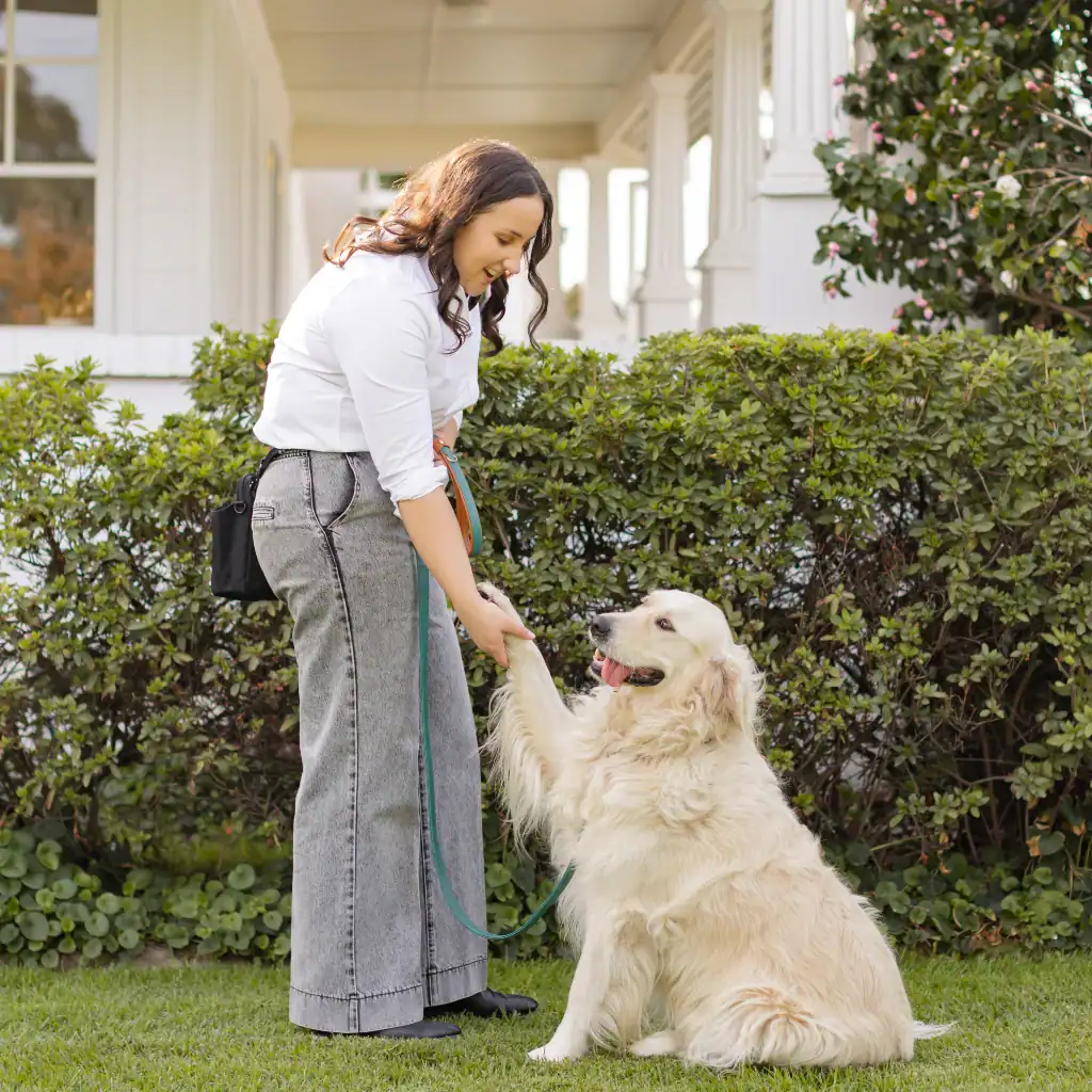 A woman in a white shirt and jeans smiles while shaking hands with a sitting golden retriever on a green lawn in front of a white house and shrubs.