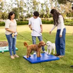 Three people and two dogs interact outdoors on a lawn. Two women and one teen hold leashes, as a brown dog stands on a blue mat facing a small white dog. Trees and greenery are visible in the background.