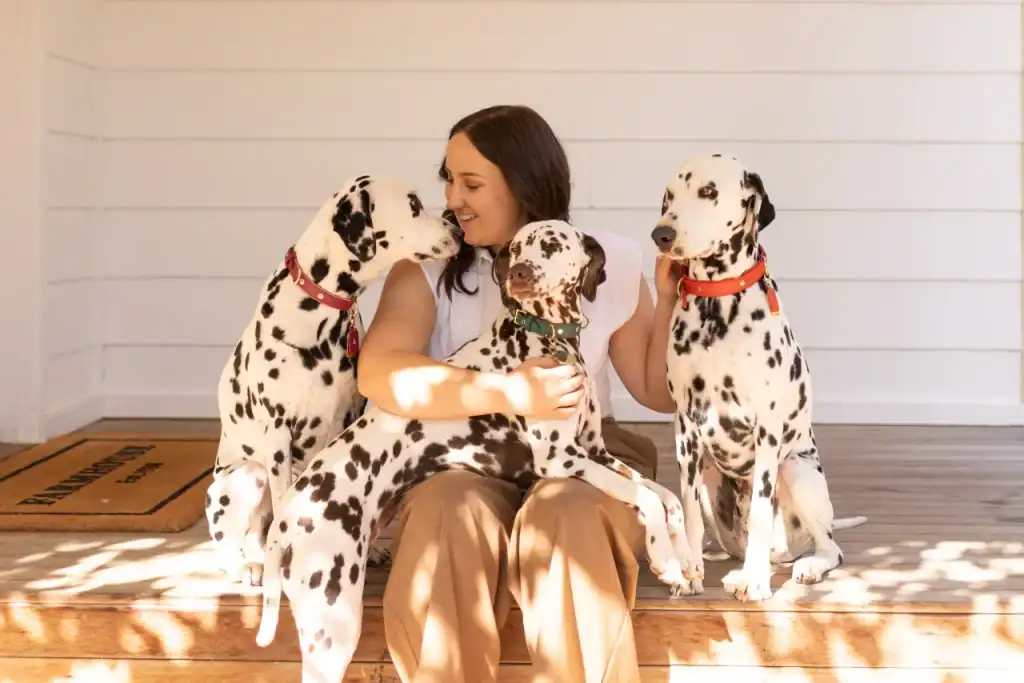 A woman sits on a porch smiling and hugging three Dalmatian dogs, two wearing red collars and one with a green collar, as sunlight shines on them.